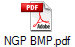 NGP BMP.pdf