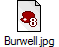 Burwell.jpg