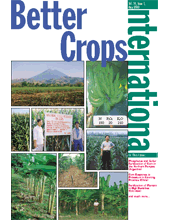 Effect of Plant Density and Nutrient Management on Plantain Yield (Colombia)